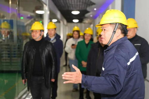 金龙鱼 透明工厂 访厂揭秘 什么才算作高品质的好菜油