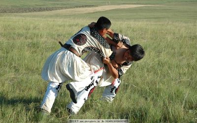 摔跤与摔角 力量与艺术的碰撞